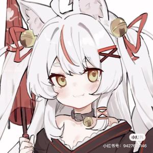 Snowdreams的演奏视频