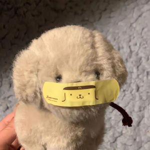 一碗果粥的钢琴谱