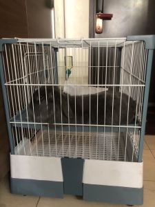 牛牛爱弹琴🎹🎹的个人空间