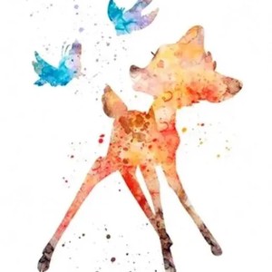 典籍里的中国的演奏视频