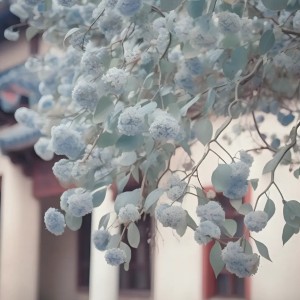 飘的钢琴谱