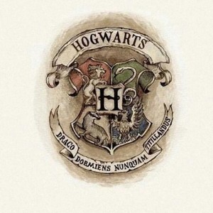 羊了个羊 (第二关)的演奏视频