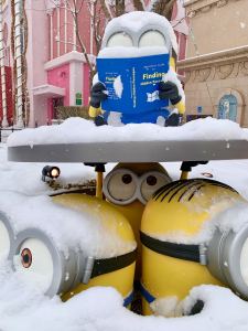 向左向右的演奏视频