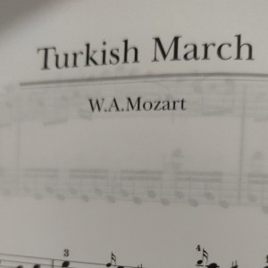 彩云追月的演奏视频