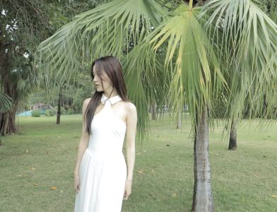 子淳的练琴日记🎹的钢琴谱