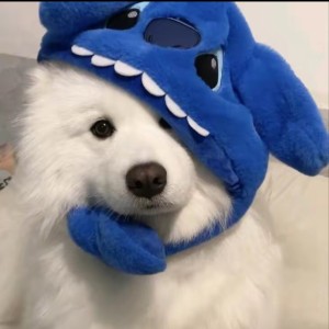风吹走的KAWAI的钢琴谱