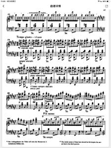 匈牙利狂想曲第6号的演奏视频