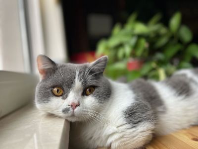 151****9209的钢琴谱