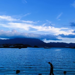 大白鲨☔的钢琴谱