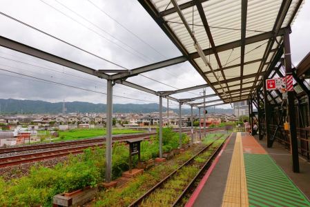 冬瓜爱弹钢琴的个人空间