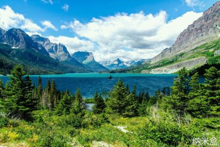 社员都是向阳花的演奏视频