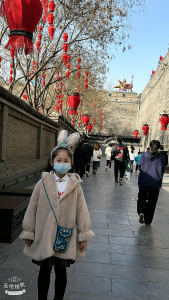 铃儿响叮当的演奏视频