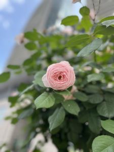 失恋进行曲的演奏视频