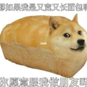 Echo?的個人空間