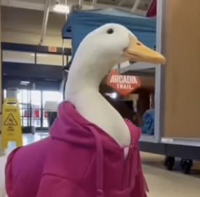 Wake up Decker的演奏视频