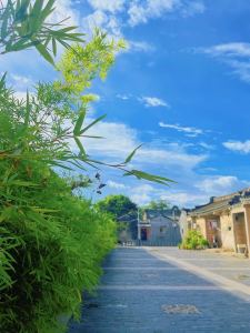 杨晶晶的钢琴谱