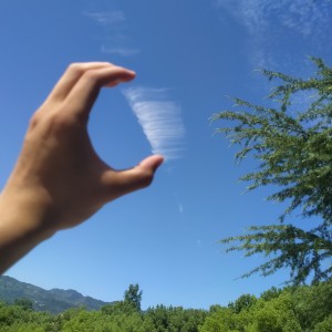 的演奏视频