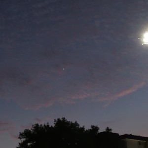 第十级A-2.练习曲Op.15 No.9的演奏视频