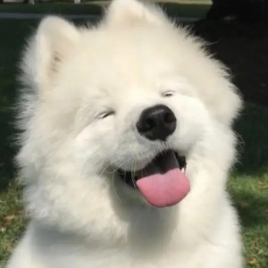 小频的钢琴谱