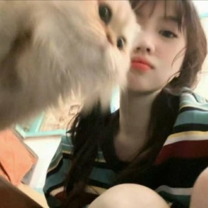 寻一个你的演奏视频