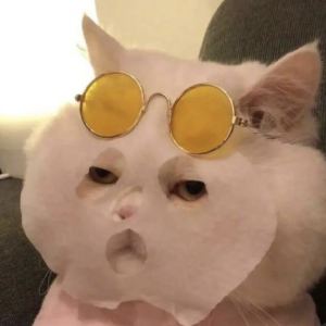 匈牙利狂想曲第6号的演奏视频