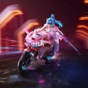 菊花台的演奏视频