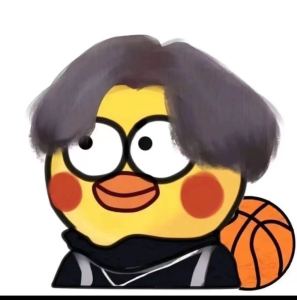 玫瑰少年的演奏视频