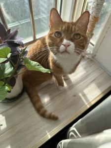 海阔天空的演奏视频