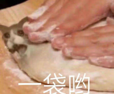 肖邦练习曲 (革命)的演奏视频