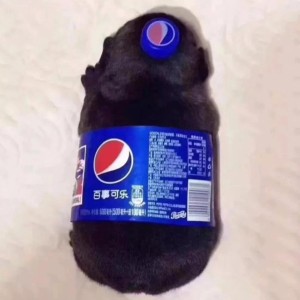 Charon的钢琴谱