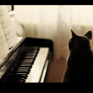 声声慢的演奏视频