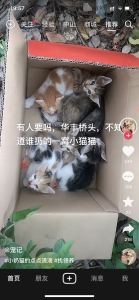 180****6998的钢琴谱