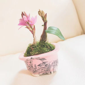 兰亭序的演奏视频