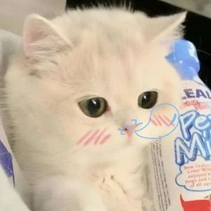 遇到困难睡大觉的钢琴谱