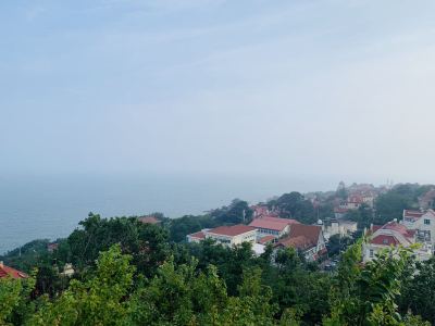 Flower Dance的演奏视频