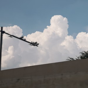 【FREE】lucky的演奏视频