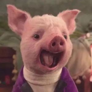 Experience的演奏视频