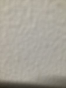 momonunu的个人空间