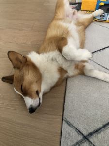 一望无际的钢琴谱