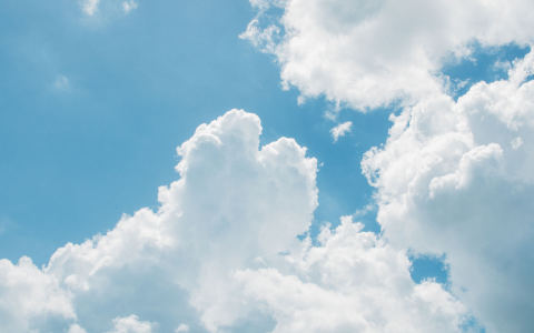 183****8781的个人空间