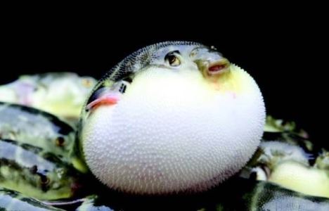 6级a小调二部创意曲的演奏视频