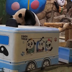 183****9258的钢琴谱