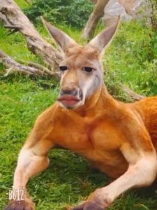 余霸天的个人空间