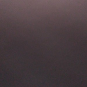 安子小崽崽的个人空间