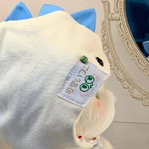 潮汐的演奏视频