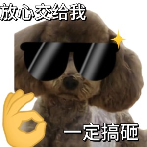 的演奏视频