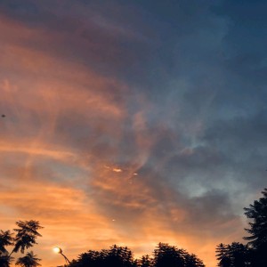 采茶扑蝶的演奏视频