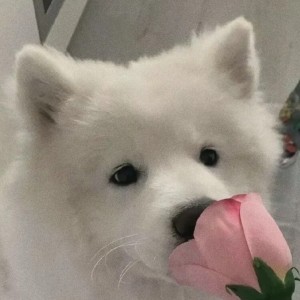 136****9902的个人空间