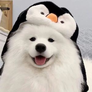 坎迪丝的尾巴是CE!的个人空间