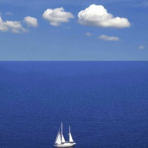 186****2116的钢琴谱